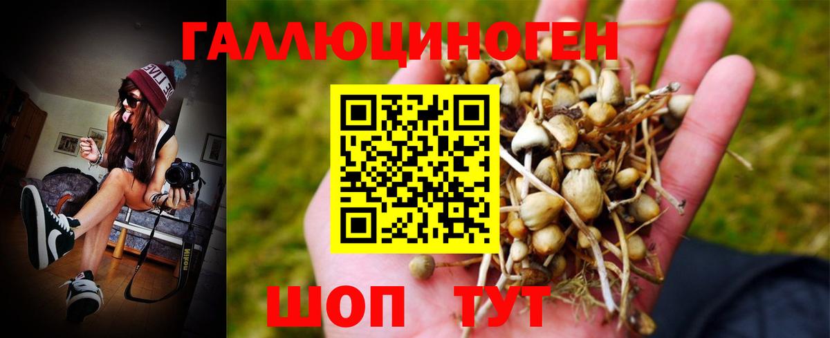 Псилоцибиновые грибы MAGIC MUSHROOMS Кушва