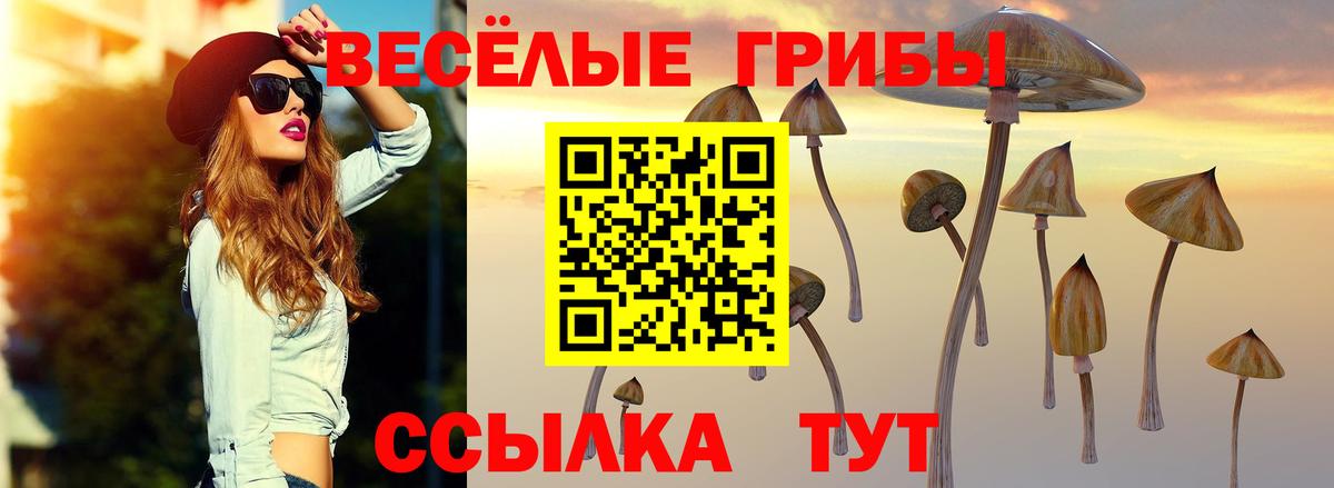 Псилоцибиновые грибы GOLDEN TEACHER  Галлюциногенные грибы MAGIC MUSHROOMS  Вход с VPN  Кушва 